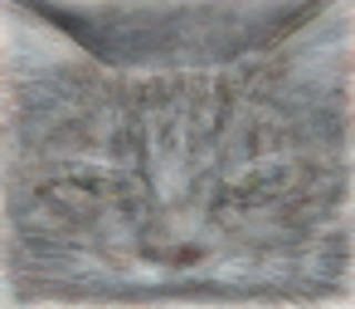 Machine Drawn Image of Cat
