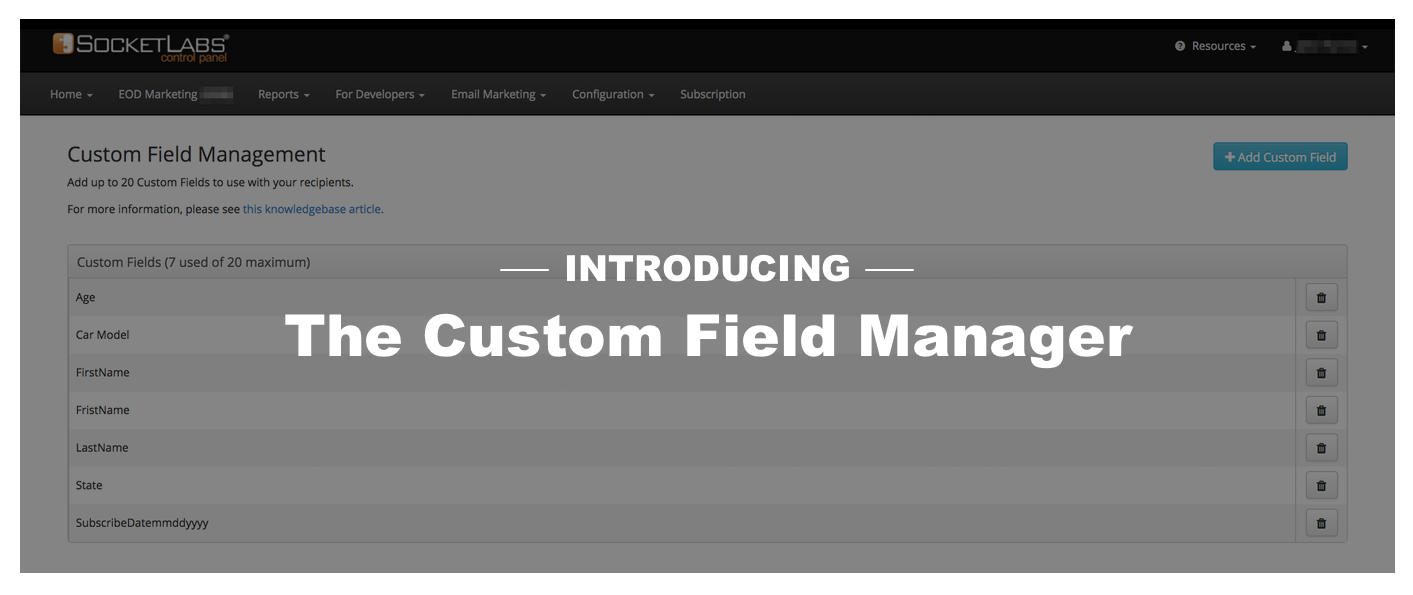 custom field manager