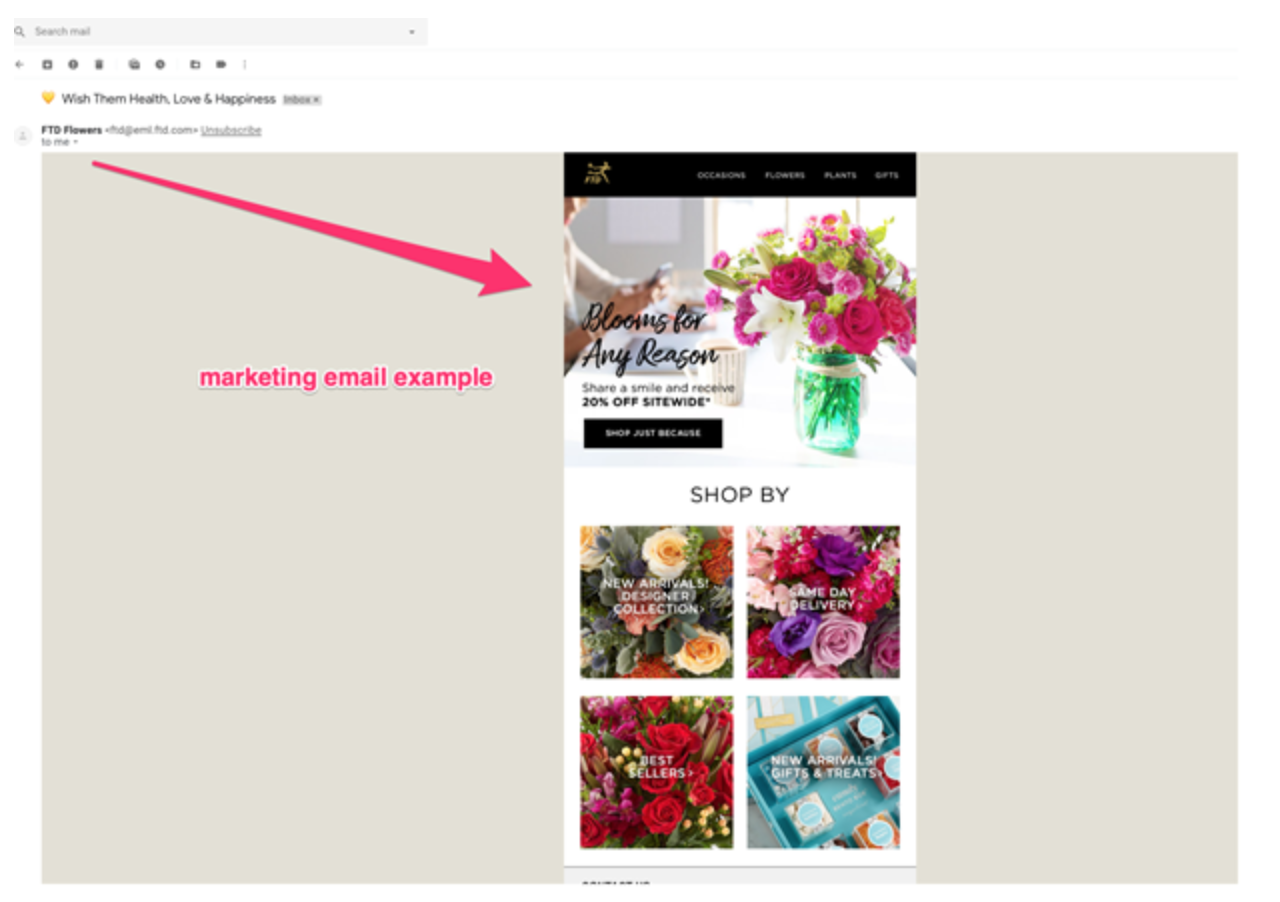 marketing email example