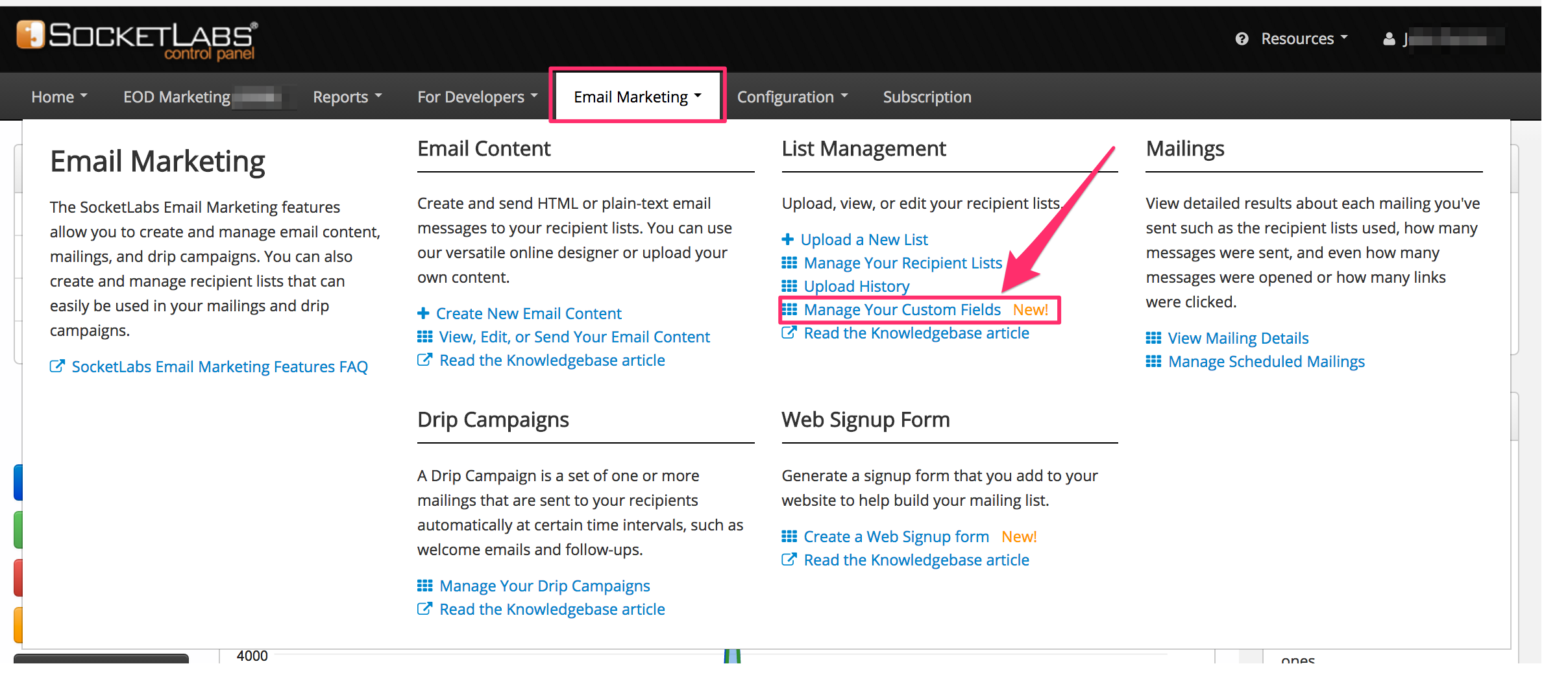 Navigate to custom field manager