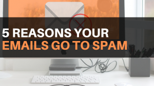5 Reasons Why Your Email Goes to Spam Instead of the Inbox