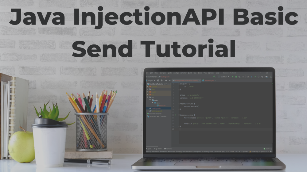 Java InjectionAPI Basic Send Tutorial